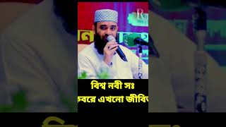 বিশ্ব নবী স কবরে এখনো জীবিত  mizanur rahman azhari waz মিজানুররহমানআজহারীনতুনওয়াজ [upl. by Stanzel211]