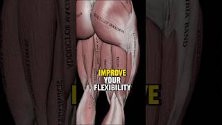 Fix Tight Hamstrings NO STRETCHING [upl. by Doraj]