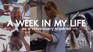 5 Veterinarian School Interview Questions with Answer Examples [upl. by Nnyltak]