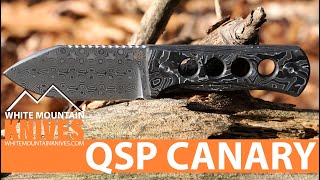 QSP Canary Fixed Blade Knife  Quick Look [upl. by Minoru]