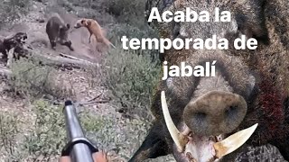 ¡¡¡ Acaba la temporada [upl. by Miculek]