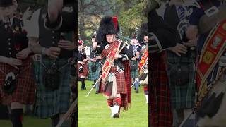 drummajor leads massed pipesanddrums display marchingbands during 2023 Dufftown Games shorts [upl. by Bernie]