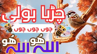 Ek Chidiya Boli Chu Chu Chu Allah hoo Allah Hoo Islamic song for kids Islamic lori [upl. by Sybila]