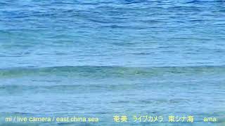 奄美 ライブカメラ 東シナ海 amami  live camera  east china sea [upl. by Orten]