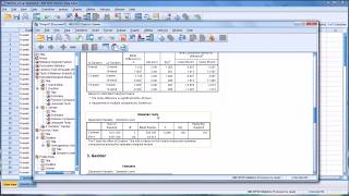 Conducting a TwoWay ANOVA in SPSS [upl. by Etnahsa614]