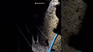 Nature vlogger saves puppy trapped in crevasse [upl. by Nosniv]