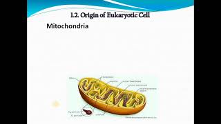 Organic Evolution Chap 1 Part II Origin of Mitochondra Plastids and Symbionts [upl. by Nylitsirk]