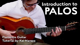 Introduction to Palos  Flamenco Guitar Tutorial by Kai Narezo [upl. by Nwahsel]