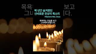 가톨릭 성가 주여 저를 불쌍히 여기소서  Miserere mei Deus 미제레레  Allegri [upl. by Baniez]