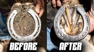 Satisfying Full Horse Hoof Restoration  4K FARRIER ASMR [upl. by Lail]