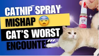 Catnip spray sideeffects  catnip k nuksanaat [upl. by Eus]