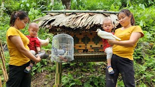 Single Mother Build a bamboo pigeon coop  Build a farm  Phung Thi Binh [upl. by Onitnerolf526]