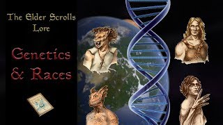 The Genetics of the Races of Tamriel  The Elder Scrolls Lore [upl. by Rosina747]