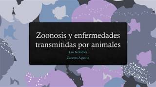 Zoonosis y Enfermedades transmitidas por Animales  Los Notables  Parte 1 [upl. by Zildjian935]