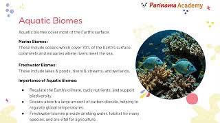 Biomes And Ecosystems [upl. by Tiffanle]