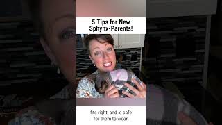 5 Tips for New Sphynx CatParents [upl. by Aihsekyw]