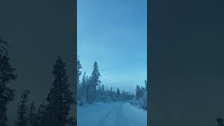 The road to the COLDEST VILLAGE on Earth  Kolyma highway in Yakutia Russia [upl. by Ahsimet]