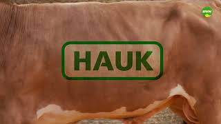 12 HAUK [upl. by Notsirhc]