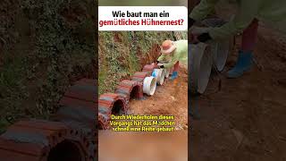 Wie baut man ein gemütliches Hühnernest Hühnerhaltung DIY Garten Kreativität Eiersammeln [upl. by Georgena988]