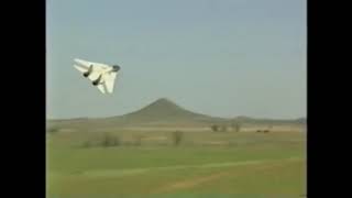 F14 Flyby and Gun Strafing [upl. by Oeflein]