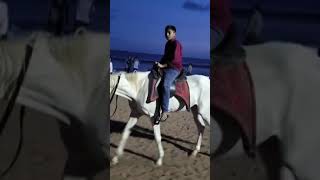 Horse riding in beach [upl. by Staley]