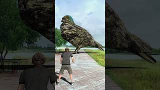 Big Pigeon Unblocking Special Effects Visual Effects Unzip [upl. by Beutler675]