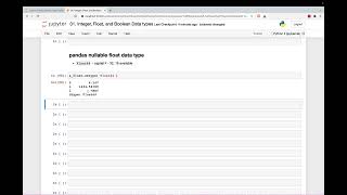 08 Pandas Nullable Float Data Type [upl. by Profant753]