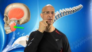 Instant TMJ Relief Maneuver for Jaw Pain Facial Pain amp Headaches  Dr Mandell [upl. by Azila]