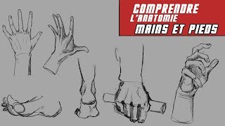 Dessins comprendre la construction des mains et des pieds [upl. by Ethelinda103]