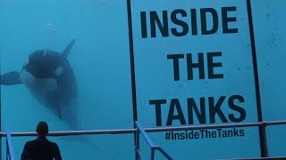 Inside The Tanks Documentary Trailer [upl. by Babb]