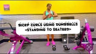 Bicep Curls and Hammer Curls Demonstration Standing to Seated [upl. by Yhtrod176]