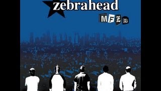 Zebrahead  Strength Lyrics [upl. by Lalaj486]