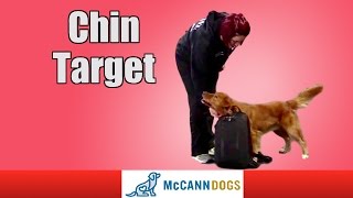 Teach Your Dog How To Target With Their Chin [upl. by Verneuil884]