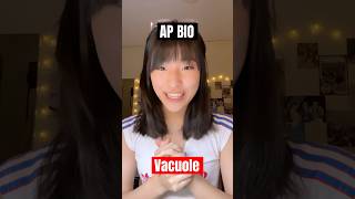 AP Bio Part 26 Vacuole🧫 apbio apbiology biology science cellbiology cell biochemistry [upl. by Akirahc]