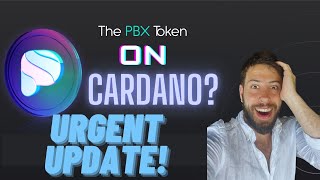 Paribus Update⚡️Is PBX Bridging to Cardano [upl. by Naltiak]