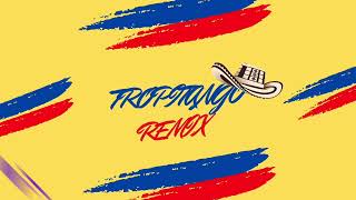 TROPITANGO REMIX  EDJ 🇨🇴 [upl. by Airdnax]