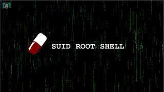 SUID ROOT SHELL  Una píldora al Día [upl. by Hardin]