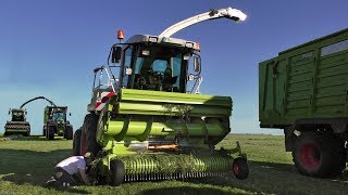 Grashäckseln 1 Schnitt 2016 mit Claas Jaguar 870 [upl. by Harwilll]