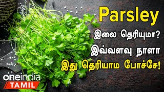 Parsley இலையில் உள்ள மருத்துவ குணங்கள்  Parsley Leaves Health Benefits in Tamil  Health Tips [upl. by Townie]