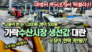 미친가격 생선값 왜이래 가락동수산시장 난리났다 고등어 한 손 1000윈 병어 500원 갈치 550원 조기 600원 오징어 1짝 3만원 [upl. by Sehcaep]