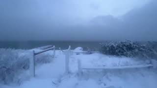 Blizzard Conditions at Chatham Cape Cod Stock Footage 84D [upl. by Dionne]