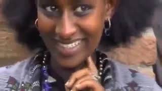 Ethiopian Traditional Song Agew Music 2012 Mekuanent Melese [upl. by Harrietta]