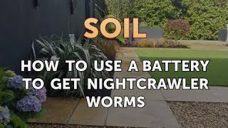 How to Use a Battery to Get Nightcrawler Worms [upl. by Kegan825]