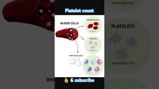 Normal range of platelet count science body human anatomy physiology [upl. by Giana762]