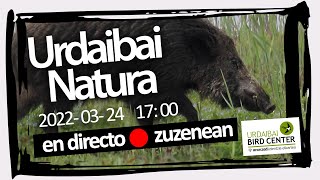 🔴 Programa semanal Urdaibai Natura 24032022 [upl. by Card]