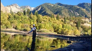 Cutthroat Fishing Bonanza  Bells Canyon Utah [upl. by Uolyram]