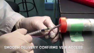 How to do intravenous tail injection in mouse [upl. by Alemap]