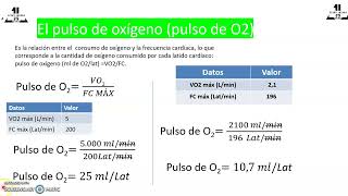 Cómo estimar el Gasto cardiaco en ejercicio  Sistema Cardiovascular [upl. by Hereld790]