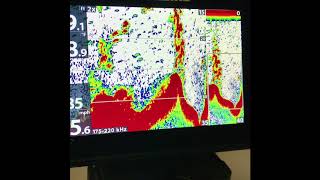 Heres how Humminbird Helix 7 DI And 2D Sonar Settings [upl. by Ullyot]