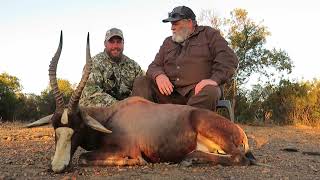 Blesbok hunt in South Africa North Wet Province [upl. by Ileek]